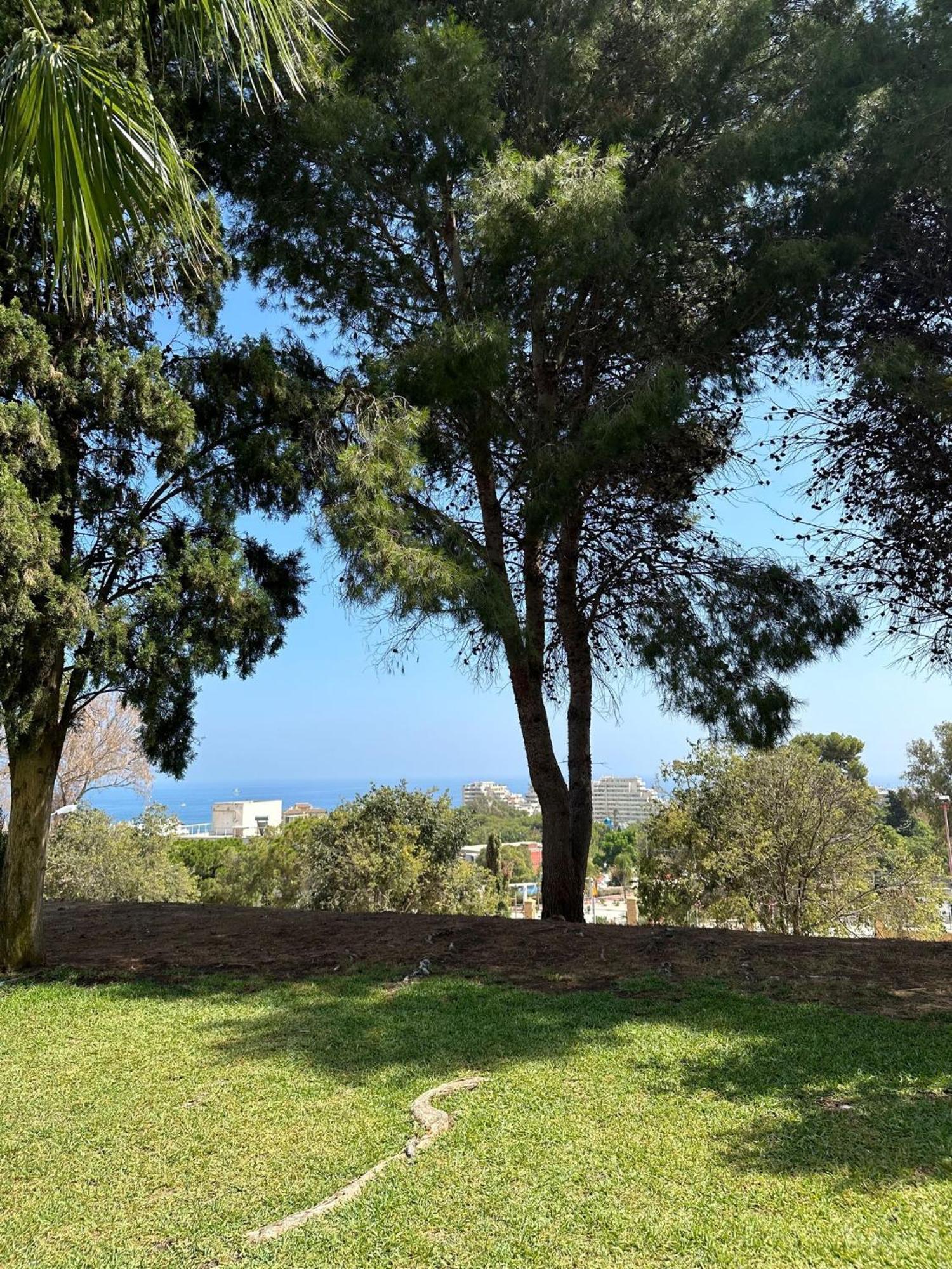 Benalmadena Gamonal Lejlighed Málaga Eksteriør billede